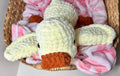 Le Petit Biscuit crochet duck plushie