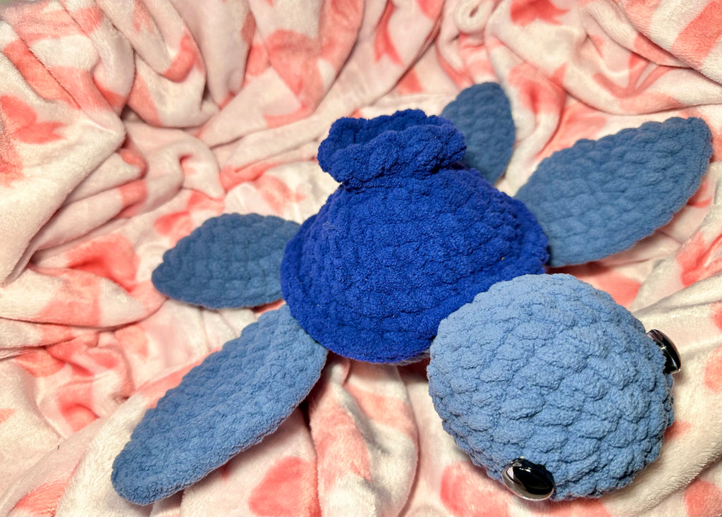 Blueberry the Mini Sea Turtle