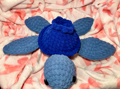 Blueberry the Mini Sea Turtle
