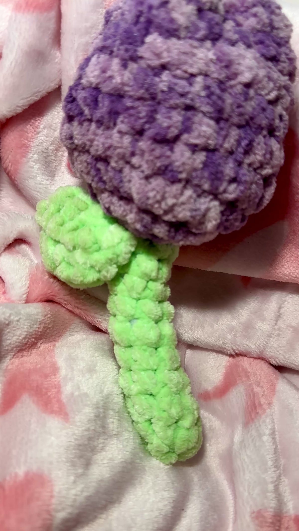 Lavender Tulip