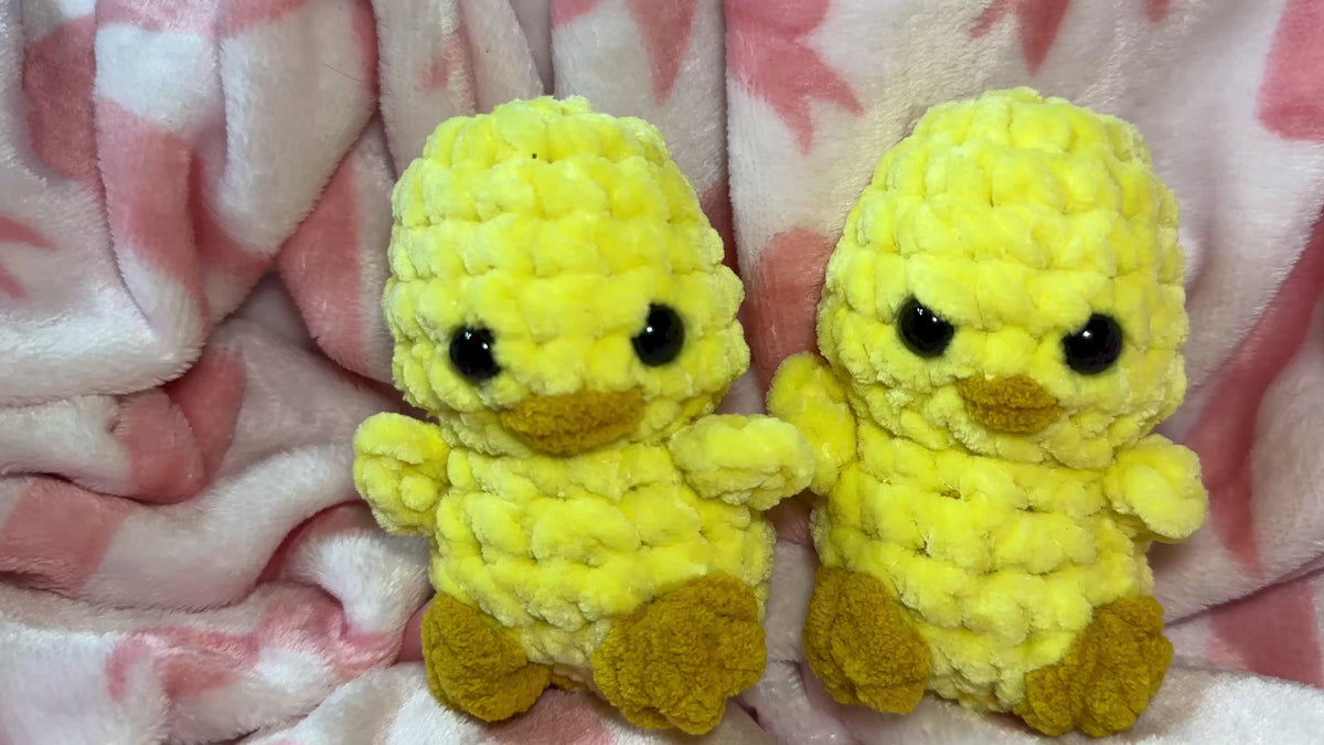 The Hutch Chicks