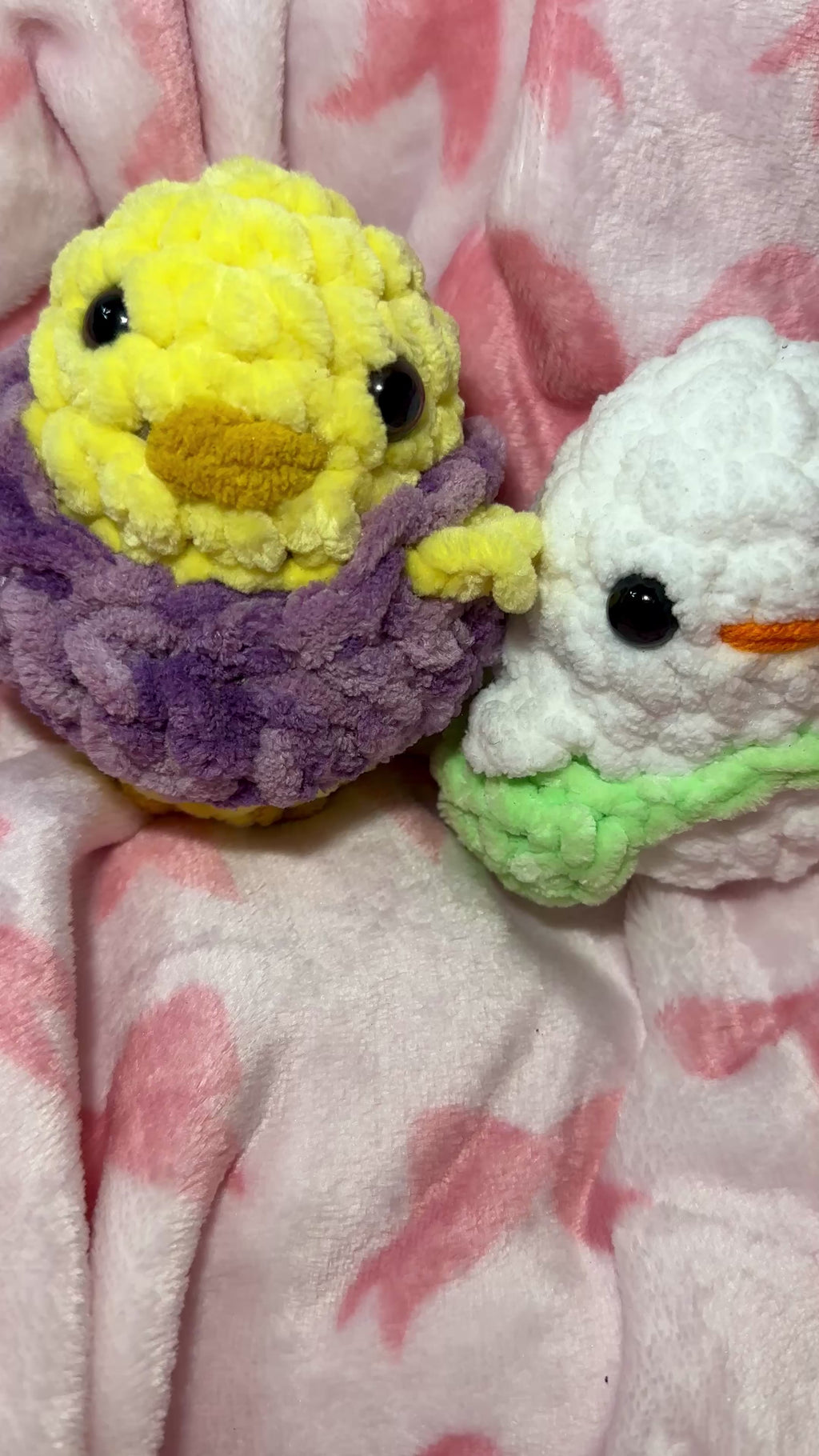 Hatchling the Baby Chick