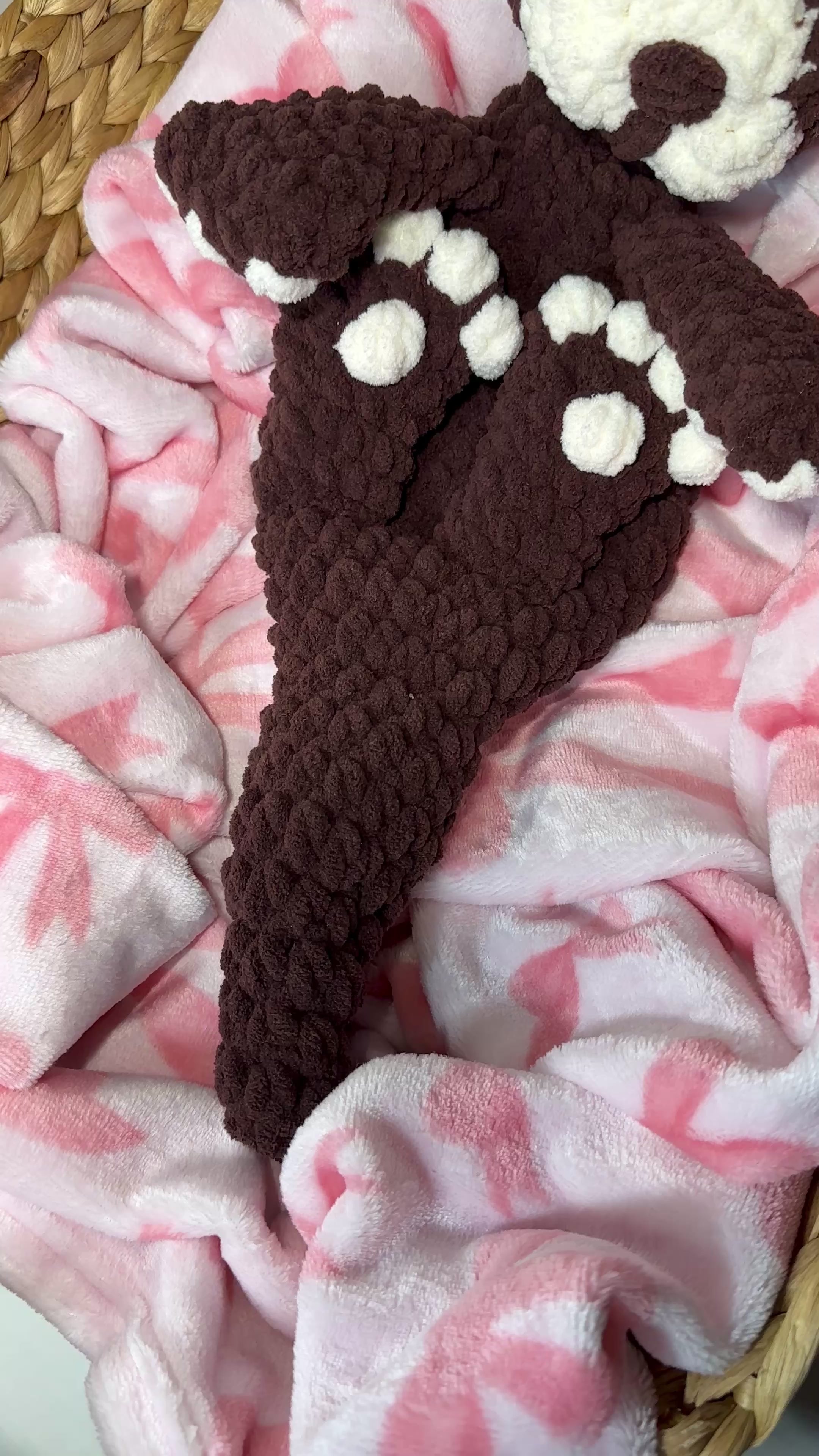 Cacao