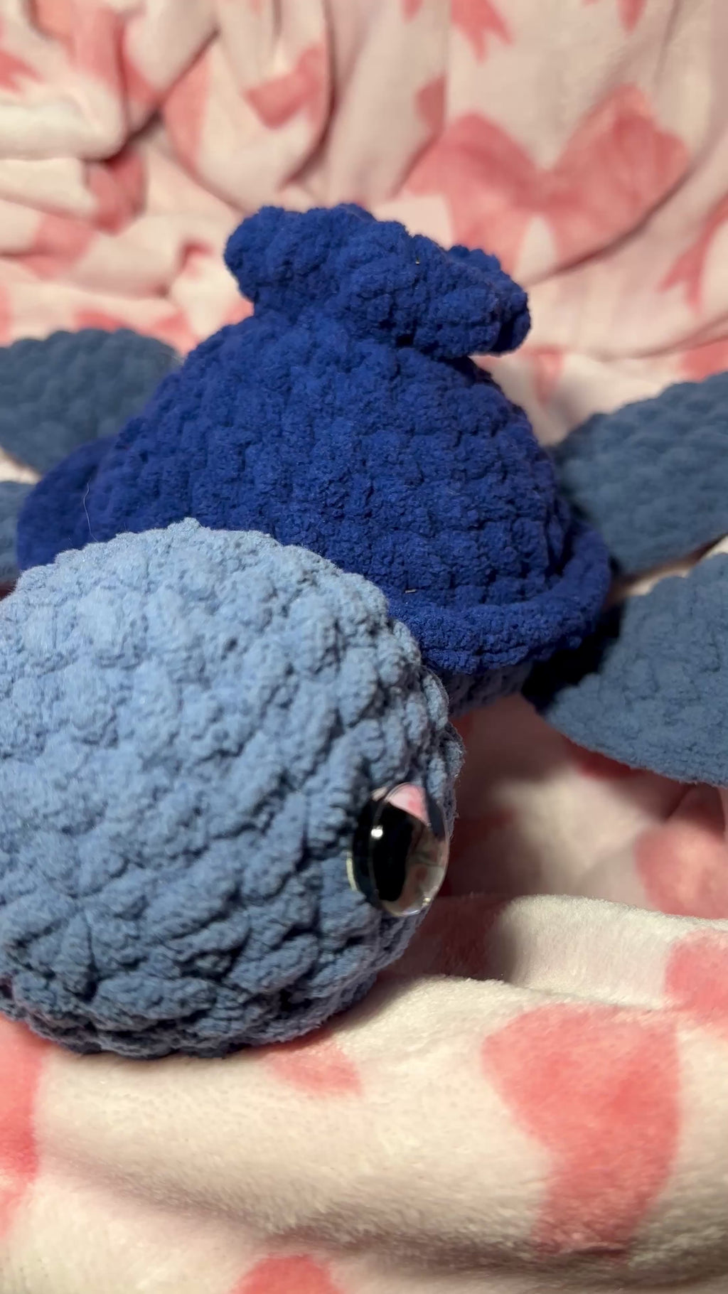 Blueberry the Mini Sea Turtle